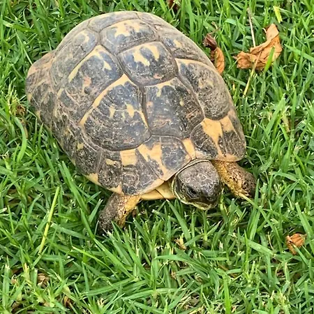 Quatre Vents * 푼타프리마